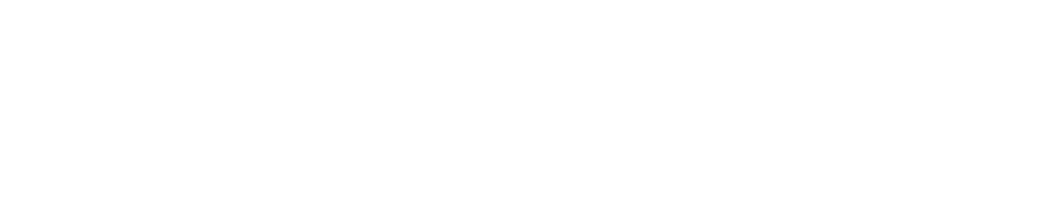 Top Trans Logistics Inc.